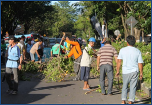 Pemkot bersama masyarakat melakukan pemangkasan pohon di tepi jalan, karena dinilai membahayakan.