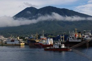 Pelabuhan peti kemas bitung