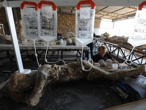 Petugas Museum Memperbaikin Patung Anak yang Berubah Jadi Batu (Foto: News.com.au)