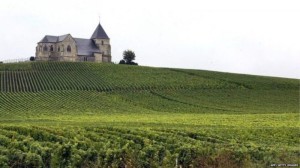 Ladang anggur di Appernay, Champagne. (Foto: BBC).